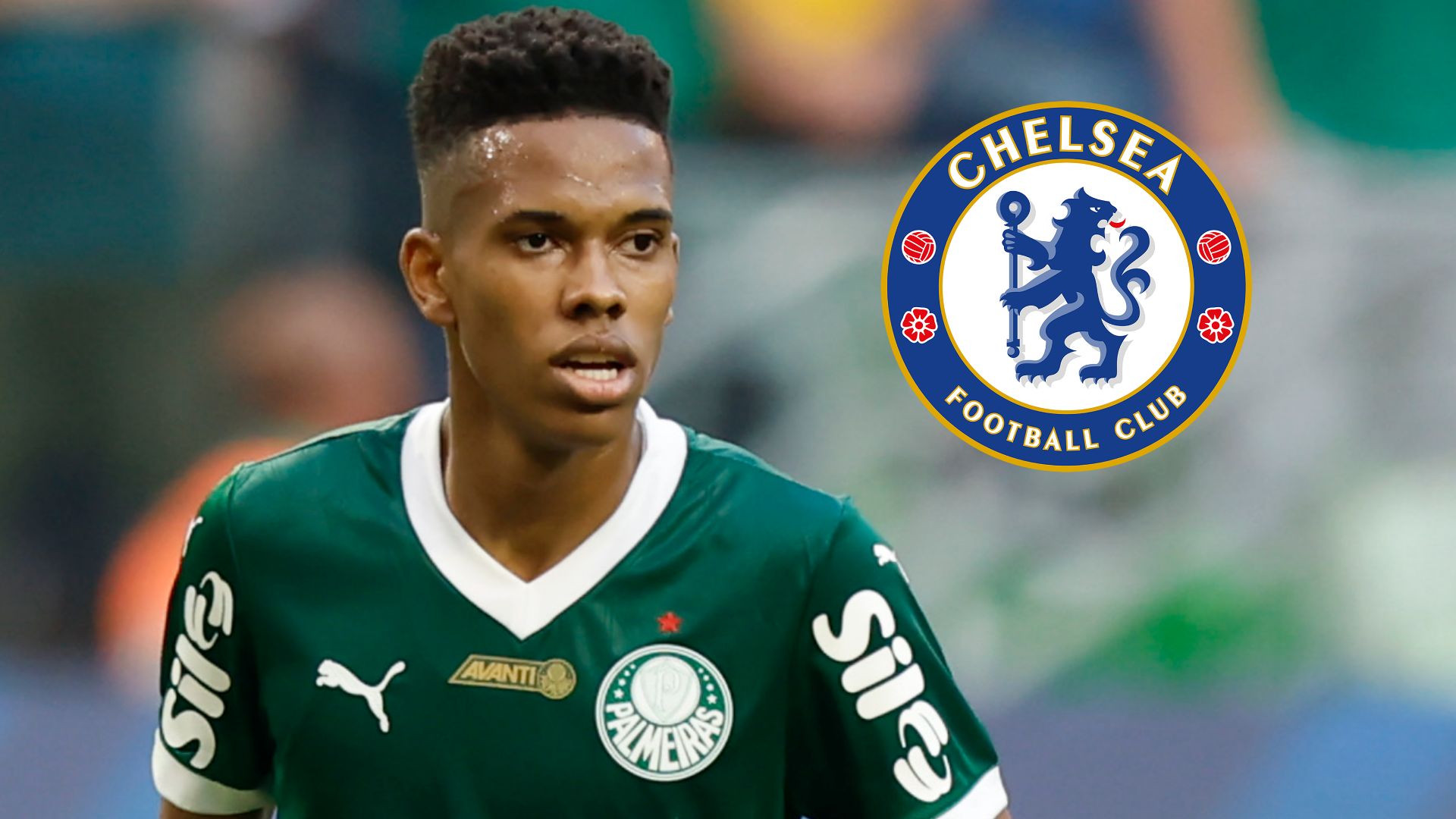 Think I already love him!' - Chelsea fans go wild for Estevao